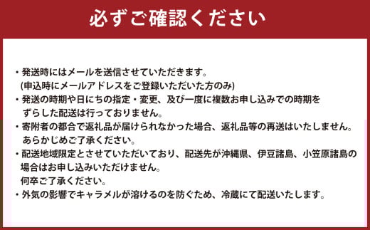 花畑牧場 生キャラメル 夕張メロン（常温） 64g×3セット