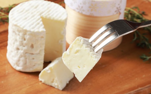 【6ヶ月定期便】 ベルネージュ 70g×3個セット 定期便6回 計18個 チーズ 白カビチーズ 生クリーム入り 白カビ 生乳 濃厚 おつまみ お酒のお供 おやつ 料理 乳製品 加工食品 [027-0114]