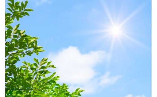 ＜無添加＞ガンコな汚れに強い！カエル粉石けん2kg[AB1-4B]