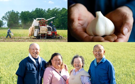 芳醇な香りと上質な風味を探求！北海道 十勝 中札内村 鎌田農園の至高にんにく 大玉 （Lサイズ） 6個入り にんにく ニンニク 大蒜 【2025年10月上旬～2026年4月上旬に順次発送予定】 [020-0024x1]