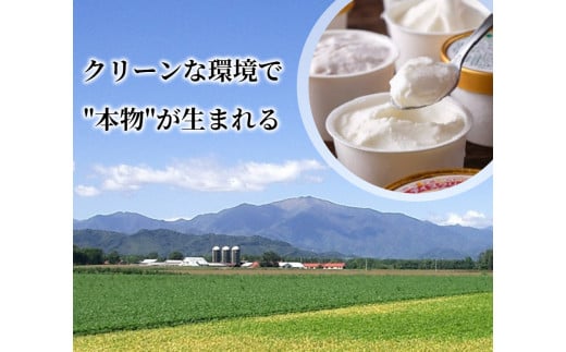 十勝産生乳の旨み！ジェラートアイスクリーム 16個セット CAMEMBERT（カマンベール）[C1-17]