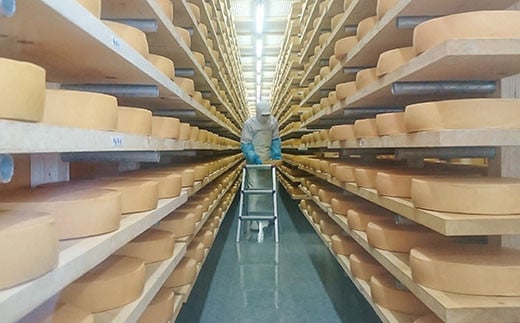 北海道産の生乳100%使用!花畑牧場の深味ラクレット1kg[P1-13C]