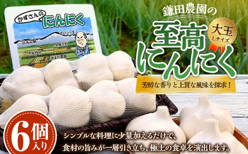 芳醇な香りと上質な風味を探求！北海道 十勝 中札内村 鎌田農園の至高にんにく 大玉 （Lサイズ） 6個入り にんにく ニンニク 大蒜 【2025年10月上旬～2026年4月上旬に順次発送予定】 [020-0024x1]