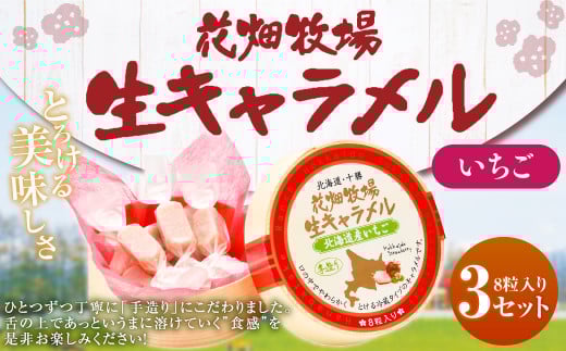 花畑牧場 生キャラメル 北海道産いちご 8粒入り×3セット