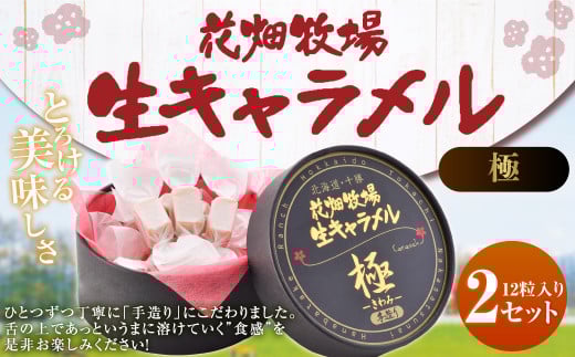 花畑牧場 生キャラメル （極 -きわみ-） 12粒入り×2セット