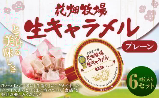 花畑牧場 生キャラメル プレーン 8粒入り×6セット
