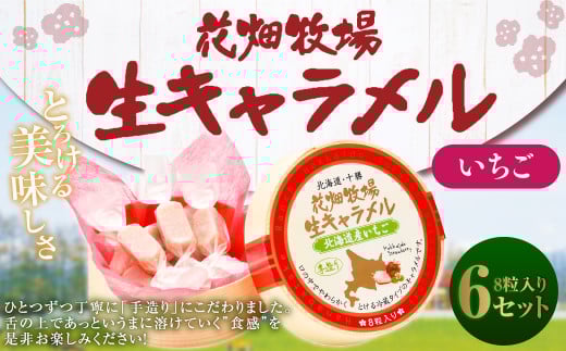 花畑牧場 生キャラメル 北海道産いちご 8粒入り×6セット
