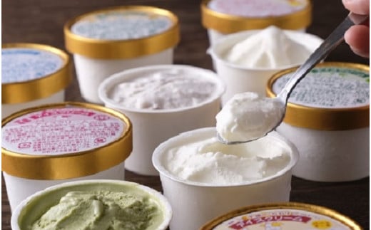 十勝産生乳の旨み！ジェラートアイスクリーム　７種１４個セット[C1-9C]