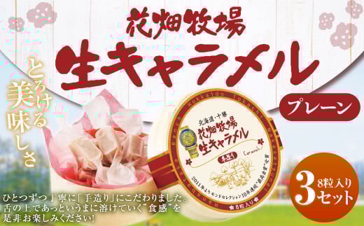 花畑牧場 生キャラメル プレーン 8粒入り×3セット