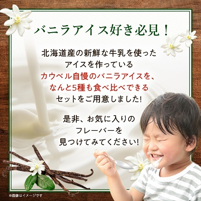 新鮮濃厚ミルク バニラ5種食べ比べセット 12個入【配送不可地域：離島】
