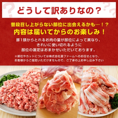 【訳あり】十勝ホエー豚 豚肉 詰め合わせ 約1.1kg 部位おまかせ! 豚丼の具 ひき肉 小分け【配送不可地域：離島】