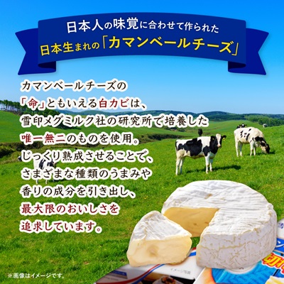 雪印北海道 カマンベールチーズ 切れてるタイプ 1箱(90g(6個入り)×10個)【配送不可地域：離島】