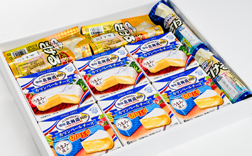 雪印北海道 4種10個　ふるさと納税専用ギフト　さけるチーズプレーン・カマンベール等【配送不可地域：離島】