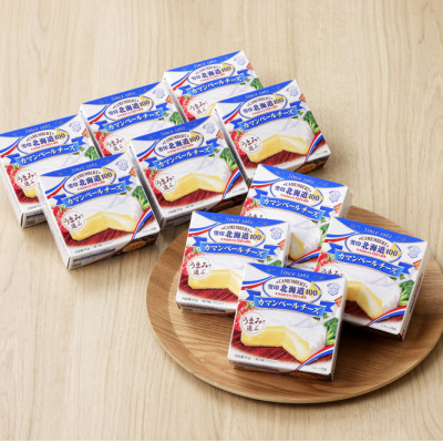 雪印北海道 カマンベールチーズ 2箱(90g×20個入り)【配送不可地域：離島】