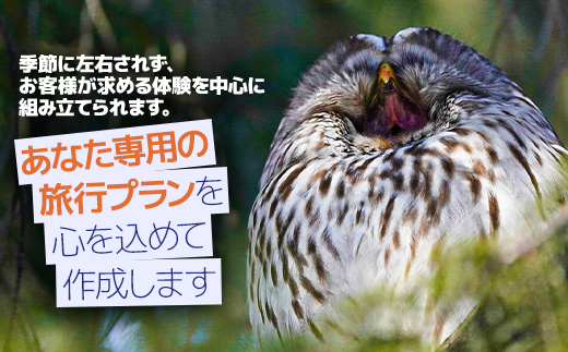 あなただけの旅を-カスタムツアー- (通年)「1組1～2名様 約7時間 完全プライベート制!」