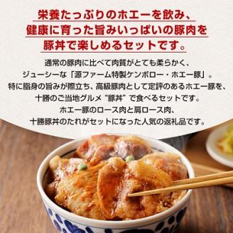 北海道十勝のグルメ!ホエー豚の豚丼セット(4人前)【CT-003】【配送不可地域：離島】