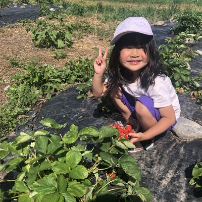 【いちご狩り体験つき】インカルシぺ白樺 1泊2名様 宿泊券(食事なし)|北海道十勝・大樹町