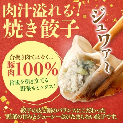 十勝 豚ぎょうざ 20個入り 5パック 十勝豚使用 北海道 大樹町【配送不可地域：離島】