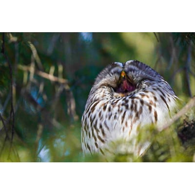 あなただけの旅を-カスタムツアー- (通年)「1組1～2名様 約7時間 完全プライベート制!」