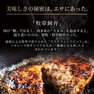 【毎月定期便】和牛道ハンバーグ120g×6食セット 大樹町 国産黒毛和牛 グラスフェッドビーフ全6回【配送不可地域：離島】
