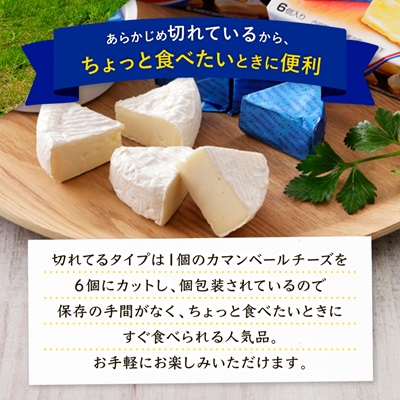 雪印北海道 カマンベールチーズ 切れてるタイプ 1箱(90g(6個入り)×10個)【配送不可地域：離島】