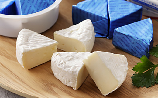 雪印北海道 4種10個　ふるさと納税専用ギフト　さけるチーズプレーン・カマンベール等【配送不可地域：離島】