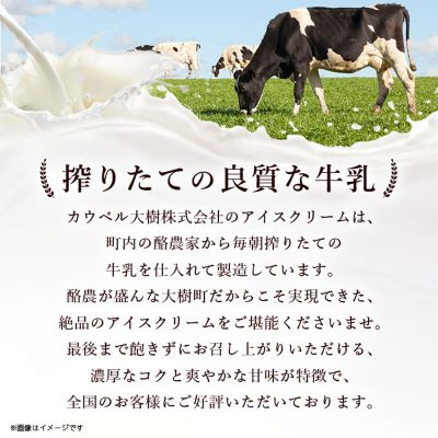 【毎月定期便】カウベルアイスお楽しみ4種コース　アイスクリーム　もなかアイス　全4回【配送不可地域：離島】