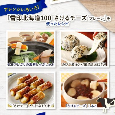 【毎月定期便】雪印北海道「さけるチーズプレーン」1箱12袋入り全5回【配送不可地域：離島】