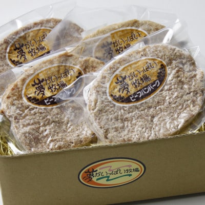 夢がいっぱい牧場の夢大樹黒毛和牛・黒毛和牛100%ハンバーグ120g(4個)【DT-003】【配送不可地域：離島】