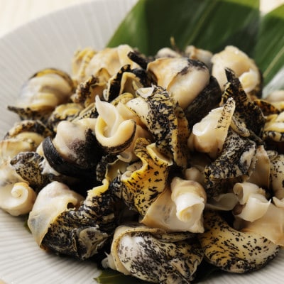 北海道産 灯台つぶボイル 冷凍・小分け 150g×5パック お刺身でも煮物でも!【配送不可地域：離島】