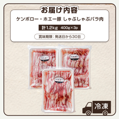 ケンボロー・ホエー豚 しゃぶしゃぶバラ肉1.2kgセット【CT-019】【配送不可地域：離島】