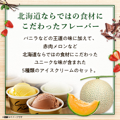 新鮮濃厚ミルク　カウベルアイス5種21個セット【配送不可地域：離島】