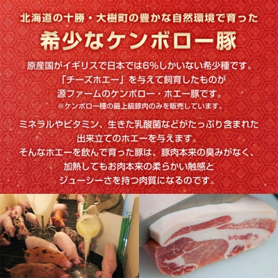 【訳あり】十勝ホエー豚 豚肉 詰め合わせ 約1.1kg 部位おまかせ! 豚丼の具 ひき肉 小分け【配送不可地域：離島】