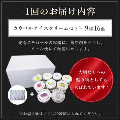 【毎月定期便】カウベルアイスクリーム9種16個セット 新鮮濃厚ミルク 北海道産素材全3回【配送不可地域：離島】