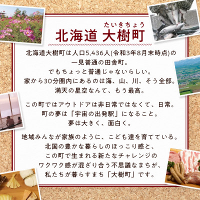 【2ヵ月毎定期便】雪印北海道 カマンベールチーズ 1箱(90g×10個入り)全3回【配送不可地域：離島】