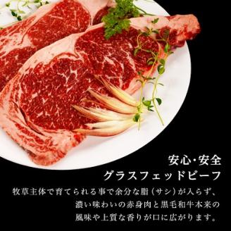 和牛道ステーキセット(サーロイン200g・リブロース200g) 国産 黒毛和牛 グラスフェッドビーフ【配送不可地域：離島】