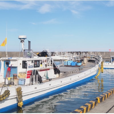 お酒がすすむ!漁師がオススメする海産物おつまみセット(3種)【AT-001】【配送不可地域：離島】