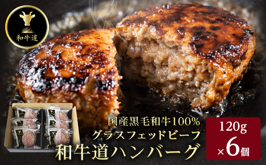 和牛道ハンバーグ120g×6食セット 北海道 大樹町 国産 黒毛和牛 グラスフェッドビーフ【配送不可地域：離島】