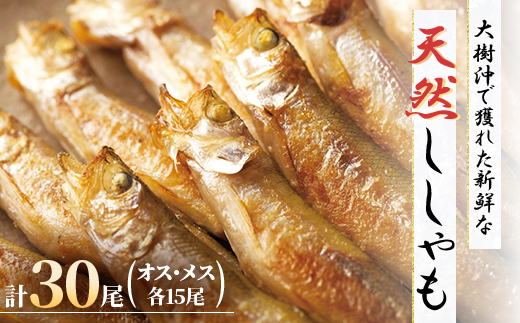 大樹漁組　天然ししゃも オス・メス30尾(MSサイズ)【配送不可地域：離島】