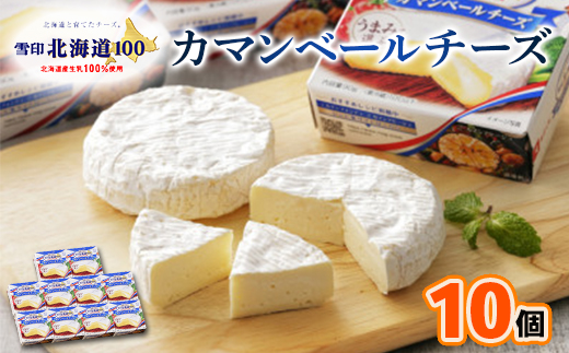 雪印北海道 カマンベールチーズ 1箱(90g×10個入り)【配送不可地域：離島】
