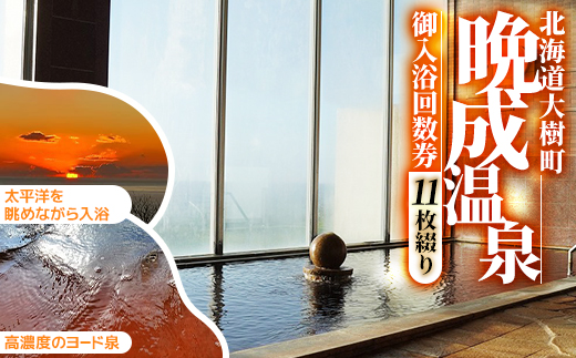 『晩成温泉』御入浴回数券　11枚綴り　1冊