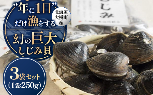 【数量限定】幻の「巨大しじみ貝」3袋セット(250g×3袋)【配送不可地域：離島】