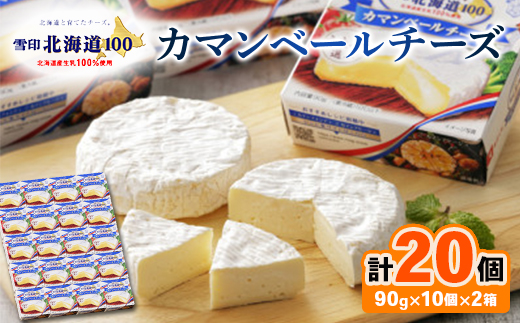 雪印北海道 カマンベールチーズ 2箱(90g×20個入り)【配送不可地域：離島】