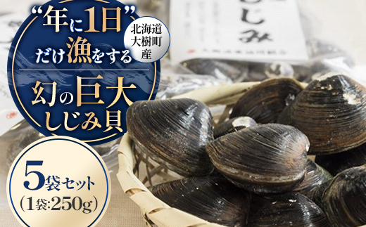 【数量限定】幻の「巨大しじみ貝」5袋セット(250g×5袋)【配送不可地域：離島】