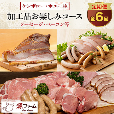 【毎月定期便】北海道十勝産 ホエー豚 ソーセージ・ベーコン等　特製加工品コース　全6回【配送不可地域：離島】
