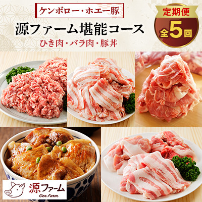 【毎月定期便】北海道十勝産 ホエー豚 ひき肉、バラ肉、豚丼　源ファーム堪能コース　全5回【配送不可地域：離島】