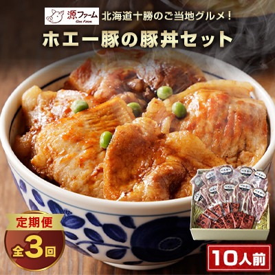 【毎月定期便】北海道十勝のグルメ!ホエー豚の豚丼セット(10人前)　たれ付き　全3回【配送不可地域：離島】