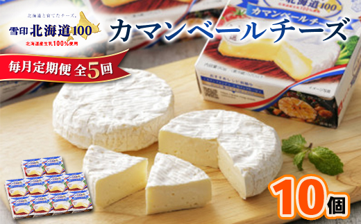 【毎月定期便】雪印北海道 カマンベールチーズ 1箱(90g×10個入り)全5回【配送不可地域：離島】