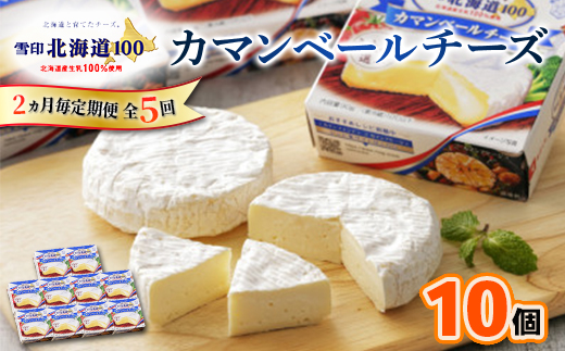 【2ヵ月毎定期便】雪印北海道 カマンベールチーズ 1箱(90g×10個入り)全5回【配送不可地域：離島】