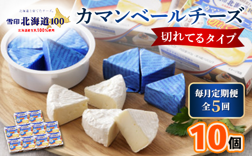 【毎月定期便】雪印北海道 カマンベールチーズ 切れてるタイプ 1箱(90g(6個入り)×10個全5回【配送不可地域：離島】